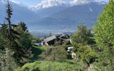 Terrain à bâtir - image - 1