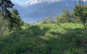 Terrain à bâtir - image - 4