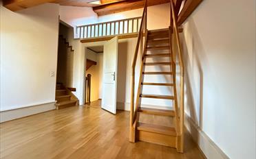 Duplex 5 Zimmer - image - 6