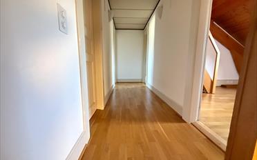Duplex 5 Zimmer - image - 9