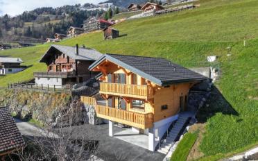 Chalet 4.5 rooms - image - 3