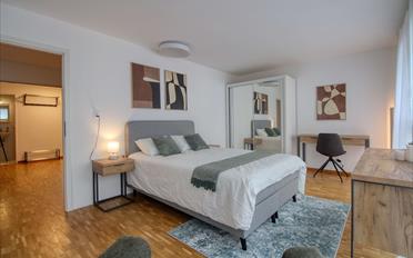 Single room 1 room - image - 2