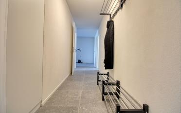 Single room 1 room - image - 14