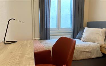 Single room 1 room - image - 4