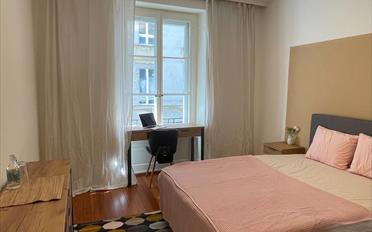 Single room 1 room - image - 13