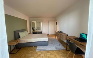 Single room 1 room - image - 1