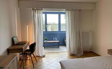 Single room 1 room - image - 5