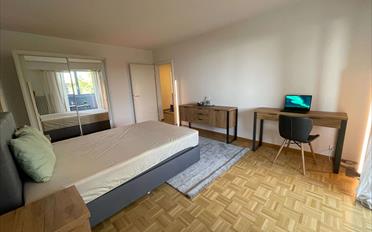 Single room 1 room - image - 6