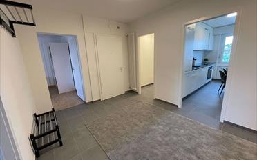 Single room 1 room - image - 14
