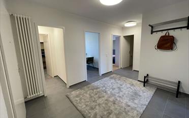 Single room 1 room - image - 15
