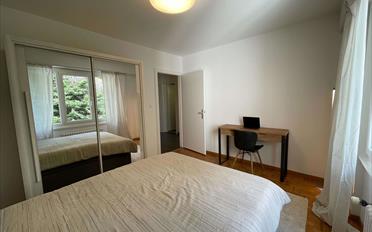 Single room 1 room - image - 1