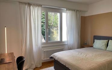Single room 1 room - image - 8