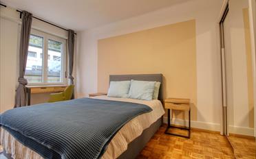 Single room 1 room - image - 2