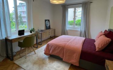 Single room 1 room - image - 1