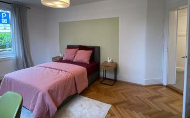 Single room 1 room - image - 3