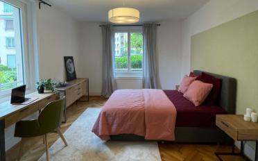 Single room 1 room - image - 6