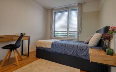 Single room 1 room - image - 2