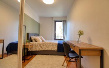Single room 1 room - image - 4