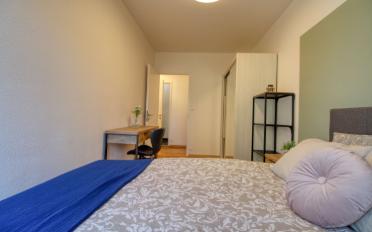 Single room 1 room - image - 5