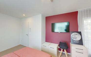 Studio 1.5 rooms - image - 3