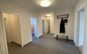 Chambre 1 pièce - image - 20