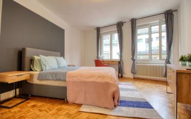 Single room 1 room - image - 6