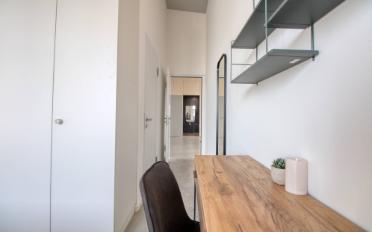 Studio - image - 2