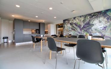 Single room - image - 8