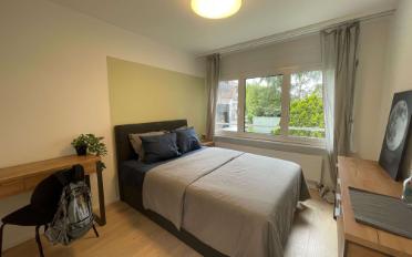 Single room 1 room - image - 1