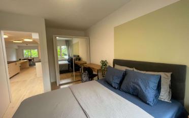 Single room 1 room - image - 4