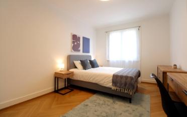 Single room 1 room - image - 4