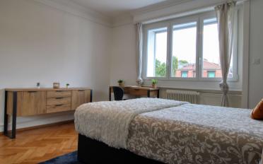Single room 1 room - image - 4
