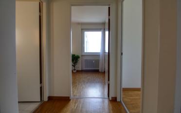 Chambre 1 pièce - image - 22