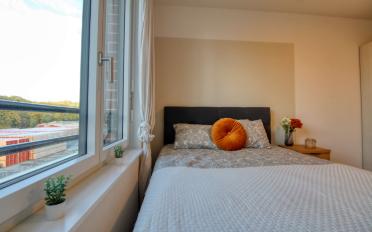 Single room 1 room - image - 4