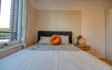 Single room 1 room - image - 7
