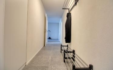 Single room 1 room - image - 15