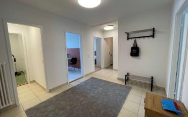 Chambre 1 pièce - image - 24
