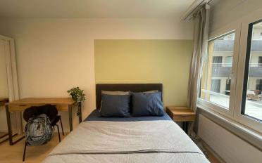 Chambre 1 pièce - image - 5