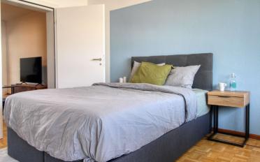 Chambre 1 pièce - image - 5