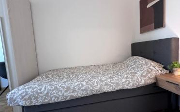 Chambre 1 pièce - image - 2