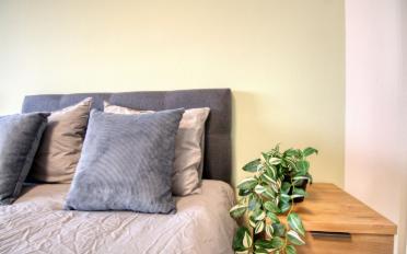 Single room 1 room - image - 9
