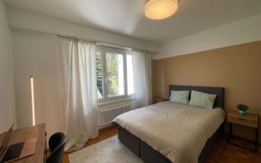 Single room 1 room - image - 1