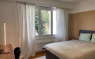 Single room 1 room - image - 8