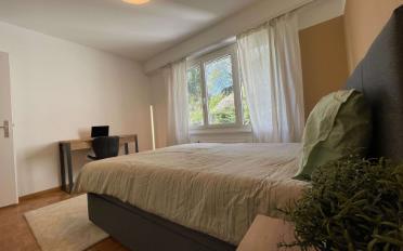 Single room 1 room - image - 9
