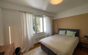 Single room 1 room - image - 10
