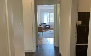 Single room 1 room - image - 11