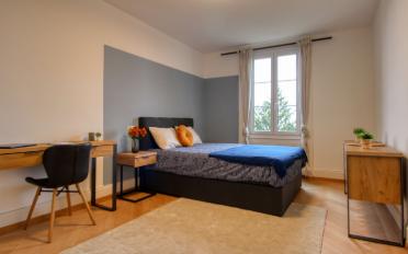 Single room 1 room - image - 1