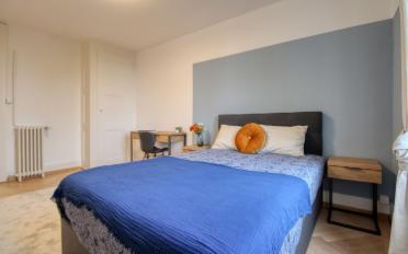 Single room 1 room - image - 2