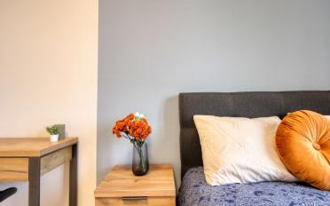 Single room 1 room - image - 6