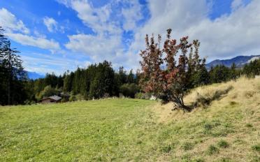 Building land - image - 4